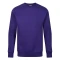 The Classic Sweatshirt (Purple)